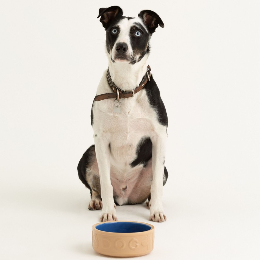 Petware Mason Cash | Cane & Blue Lettered Dog Bowl 18Cm