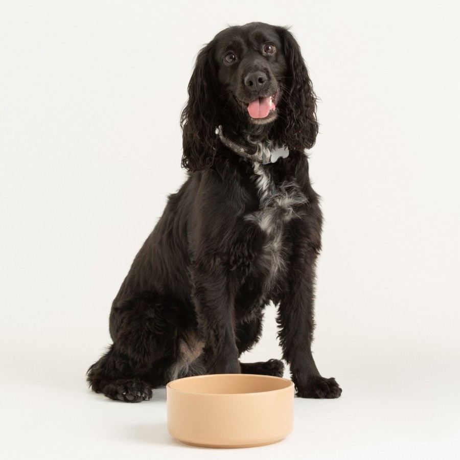 Petware Mason Cash | Cane Pet Bowl 15Cm