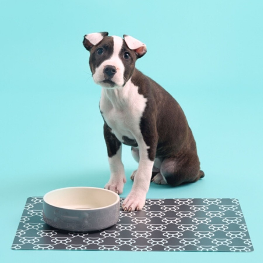 Petware Mason Cash | Colour Mix Grey Set Of 2 Dog Bowls 15Cm