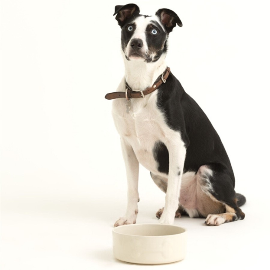 Petware Mason Cash | Colour Mix Cream Set Of 2 Dog Bowls 20Cm