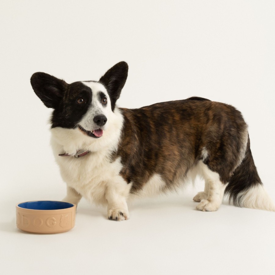 Petware Mason Cash | Cane & Blue Lettered Dog Bowl 15Cm