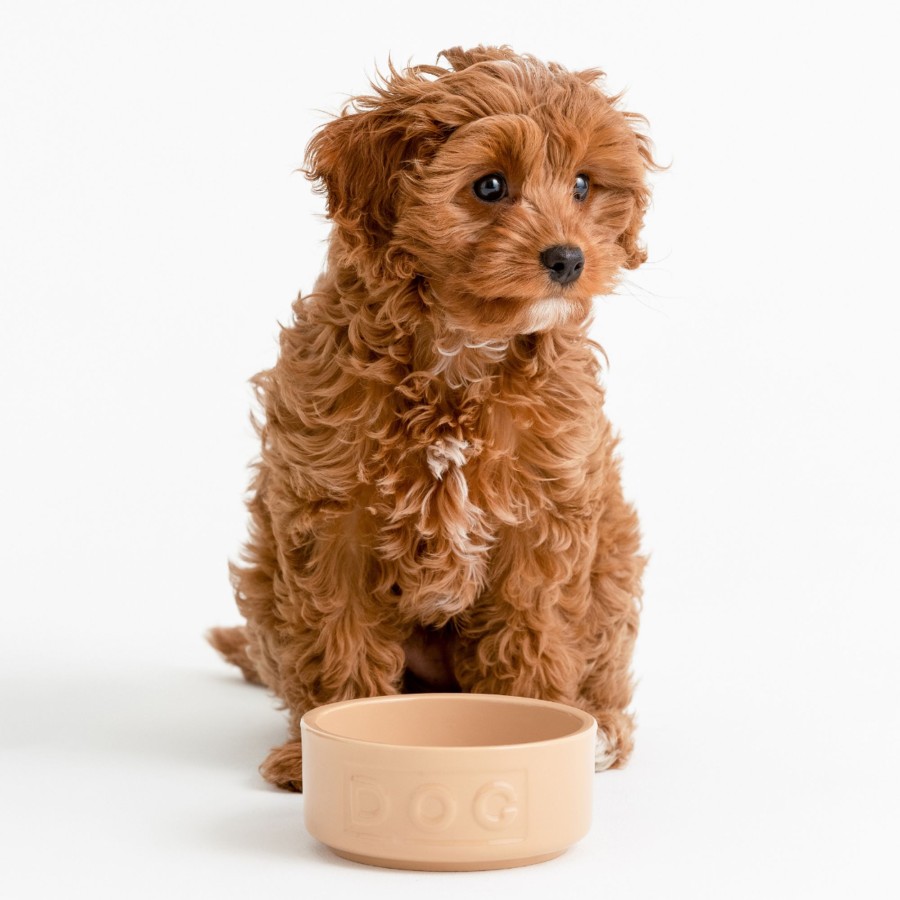 Petware Mason Cash | Cane Lettered Dog Bowl 13Cm